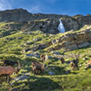 Afbeelding voor Bookatrekking - Trektocht Gran Paradiso