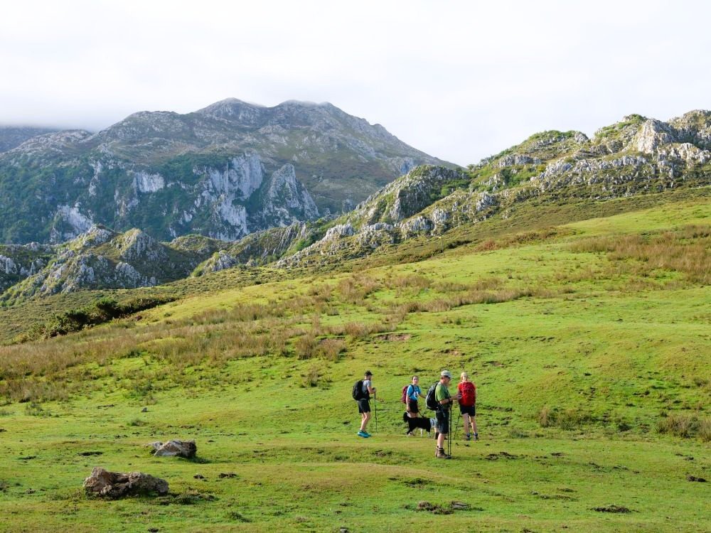 Picos de Europa