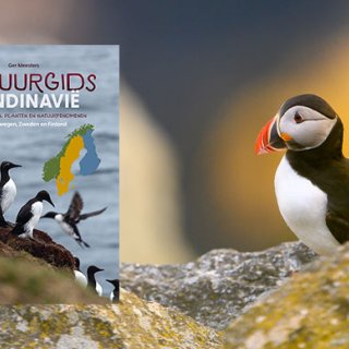 Afbeelding voor Win Natuurgids Scandinavië met onze prijsvraag
