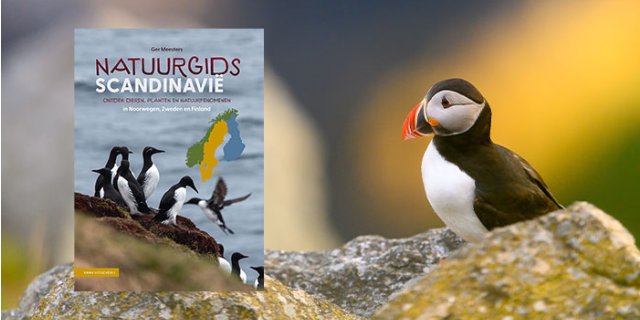 Afbeelding voor Win Natuurgids Scandinavië met onze prijsvraag