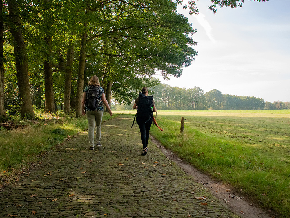 Wandelen door de akkers