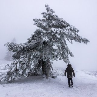 Afbeelding voor Natuur bij Winterberg