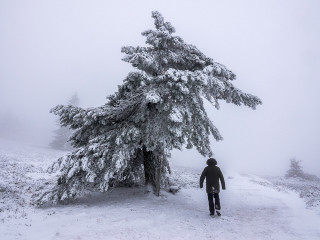 Afbeelding voor Natuur bij Winterberg