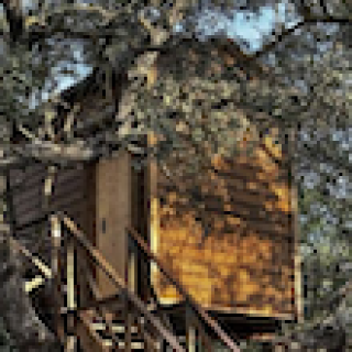 Afbeelding voor Booking.com - Boomhut