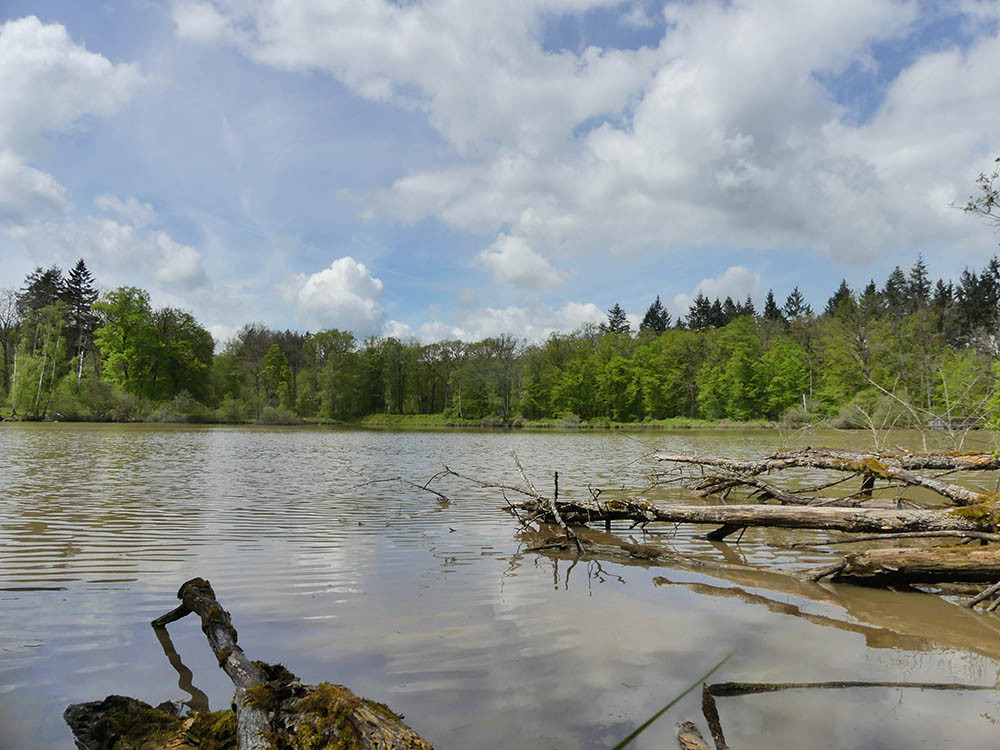 Wolfsee