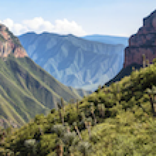 Afbeelding voor Travel Happiness Company - Mexico op maat