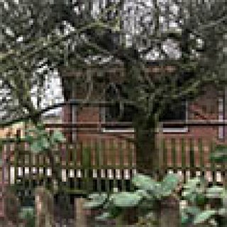 Afbeelding voor Natuurhuisje - Chalet Winsum