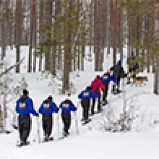 Afbeelding voor Sawadee - Lapland actief
