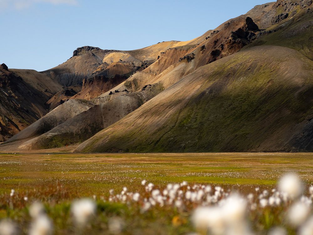 Natuur in Landmannalaugar