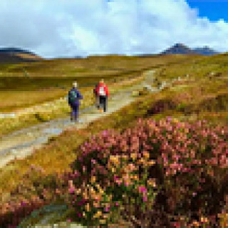 Afbeelding voor Walking Holiday Ireland - Wandelreis Noord-Ierland