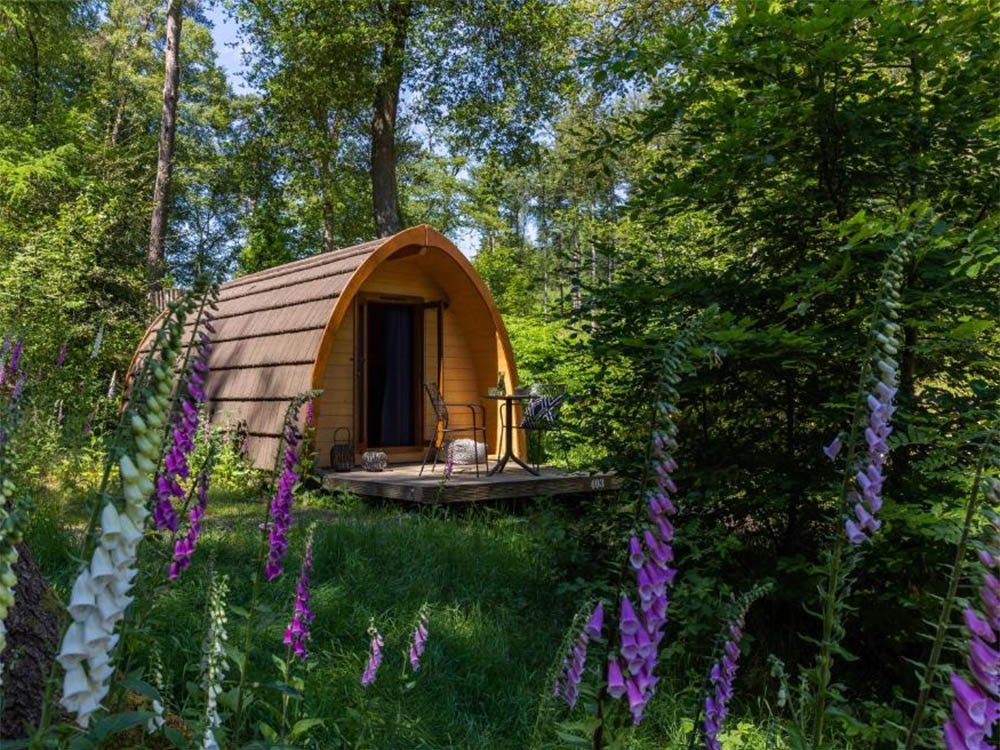 Uniek overnachten Gelderland