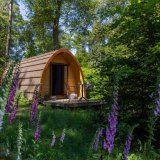 Afbeelding voor Bijzonder overnachten Gelderland