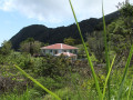 Groen Saba