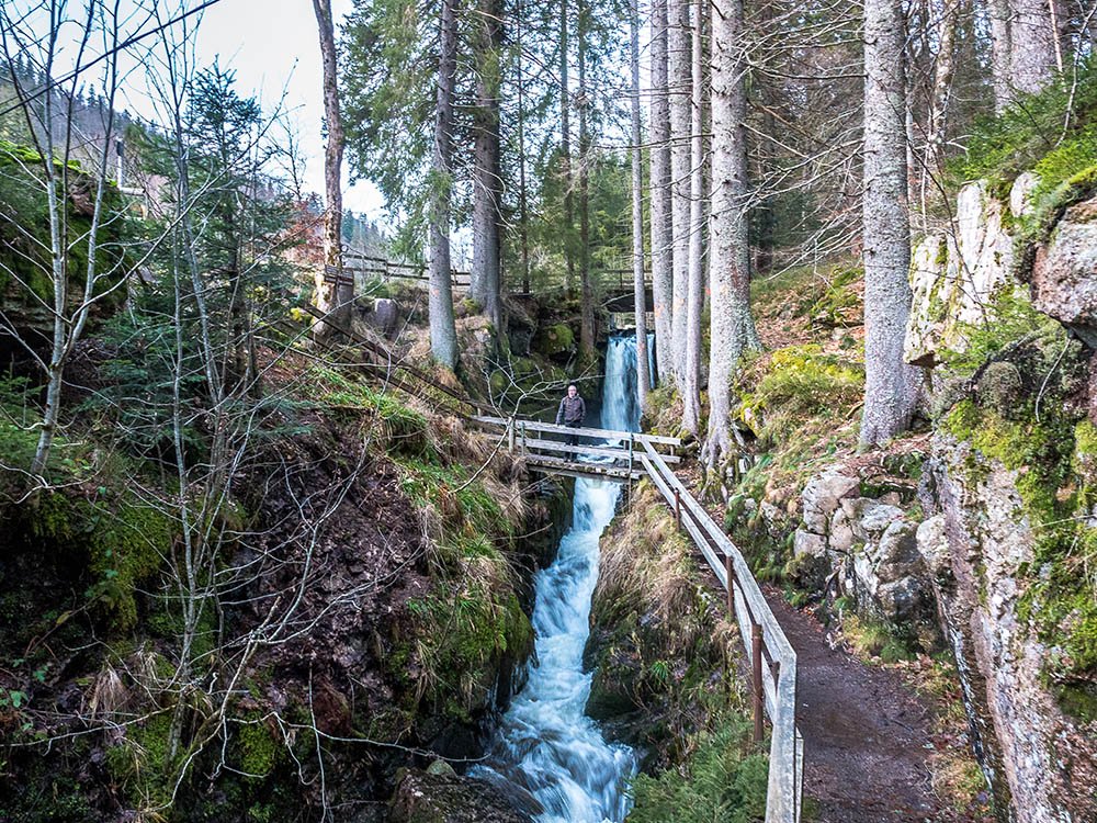 Menzenschwand kloof