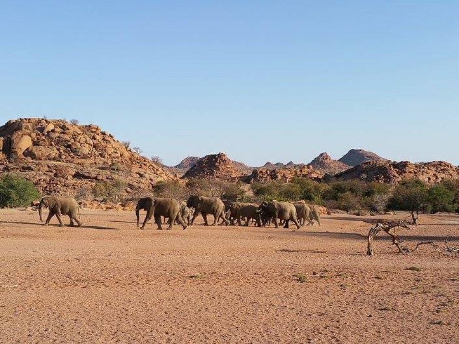 Veilige Afrikaanse bestemmingen