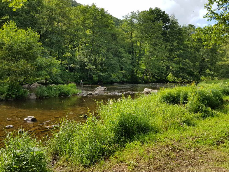 natuur in de ardennen