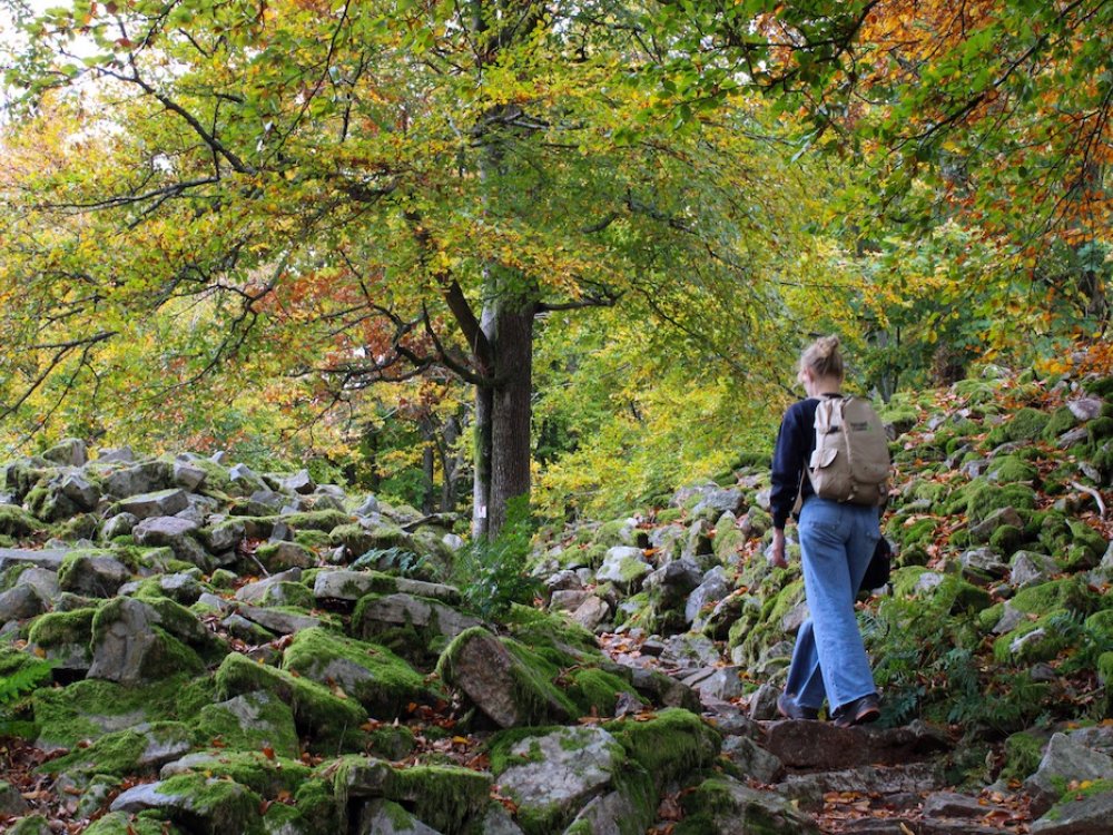 Traumschleife Dollbergschleife