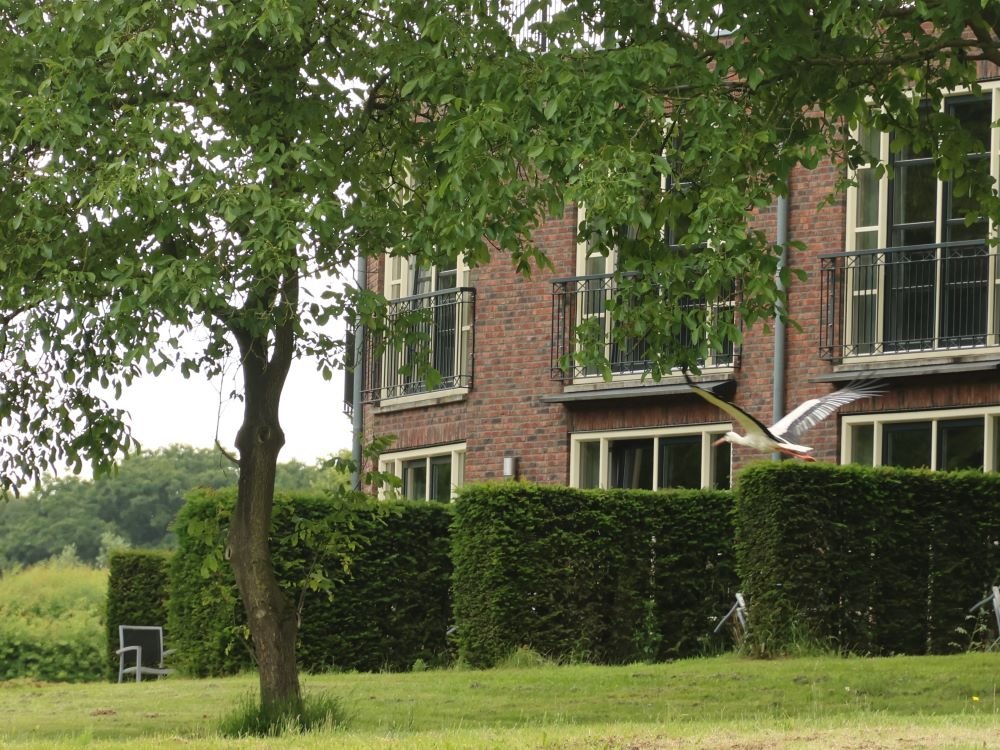Fletcher Hotel