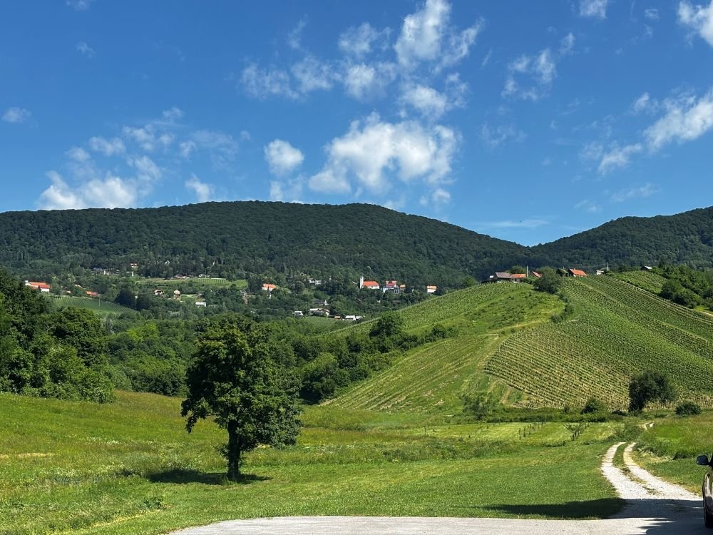 Landschap Plešivica