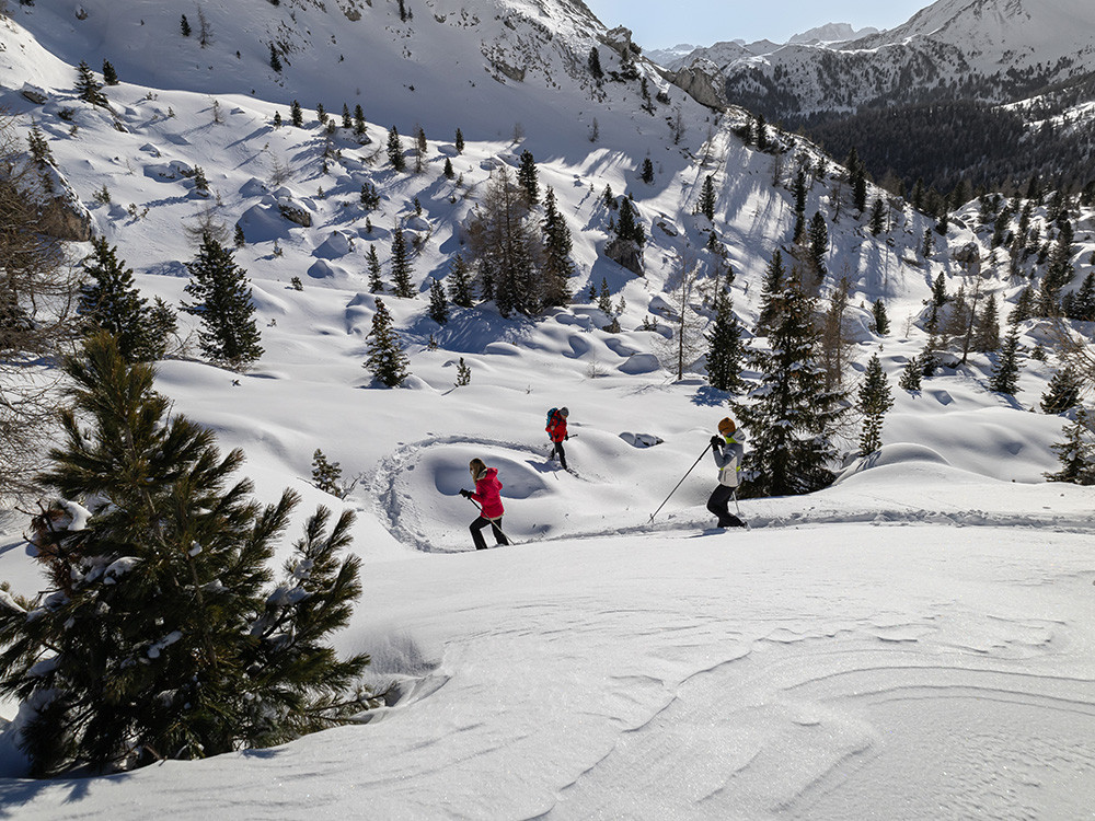 Sneeuwschoenwandelen Alpen