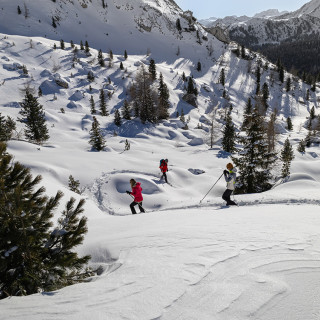 Afbeelding voor Sneeuwschoenwandelen