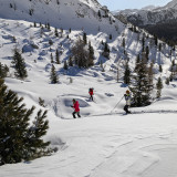 Afbeelding voor Sneeuwschoenwandelen