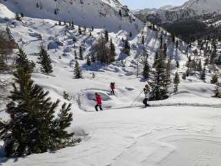 Afbeelding voor Sneeuwschoenwandelen