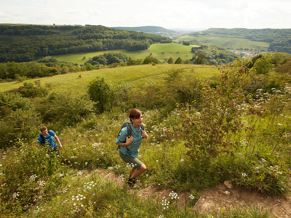 Wandelreis Saarland