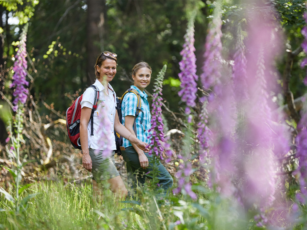 Wandelen in het Saarland