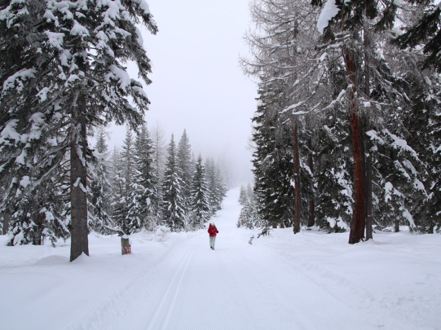 Winterwandeling Gailtal