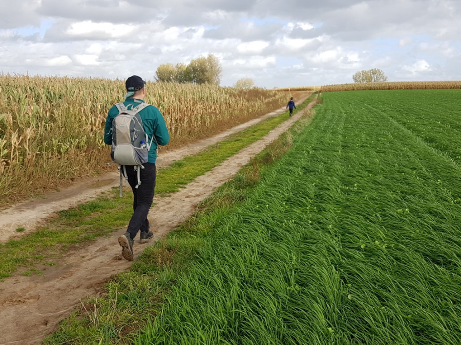 wandelen Vlaamse Ardennen