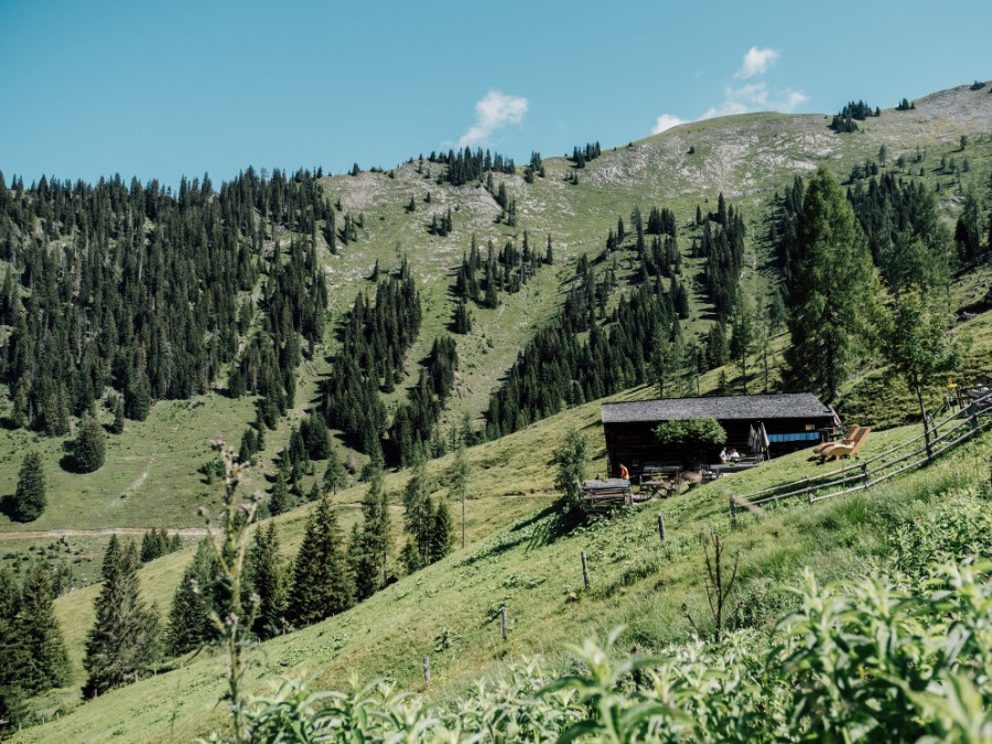 Natuur in Salzburgerland