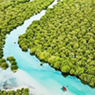 Afbeelding voor Get Your Guide - Excursies vanuit Doha