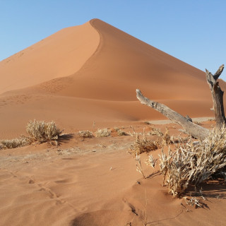 Afbeelding voor Sossusvlei