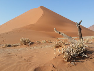 Afbeelding voor Sossusvlei