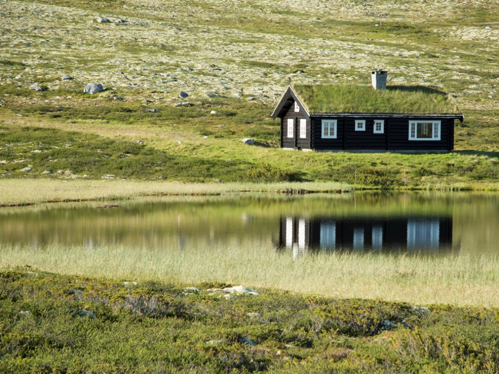 Vakantiehuis in de natuur