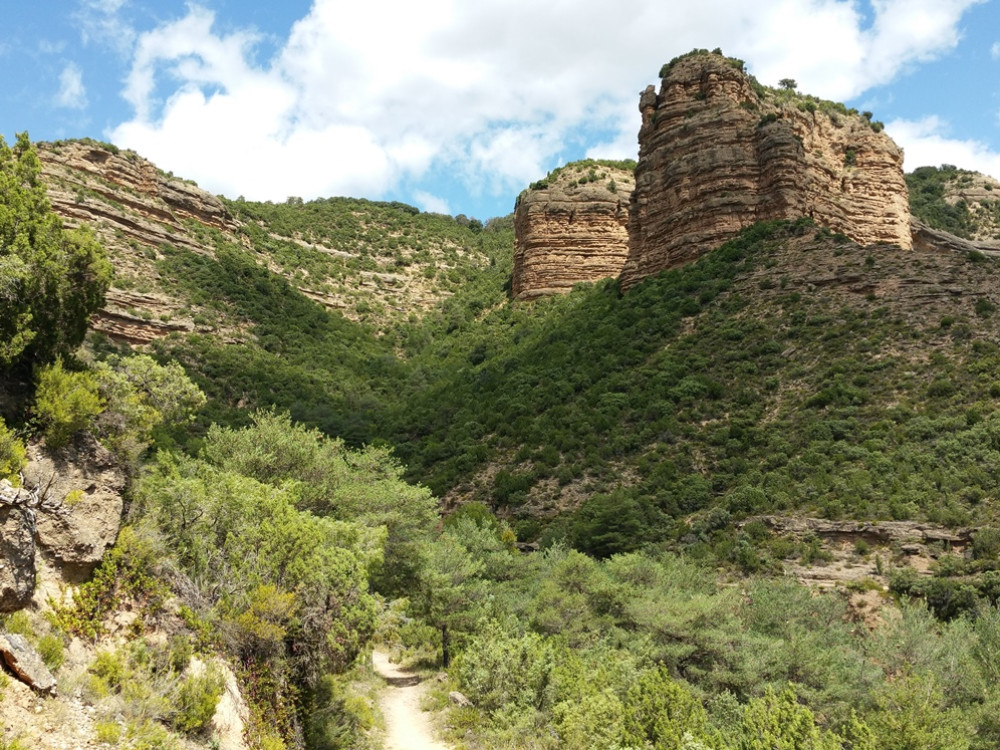 Natuur in Aragón