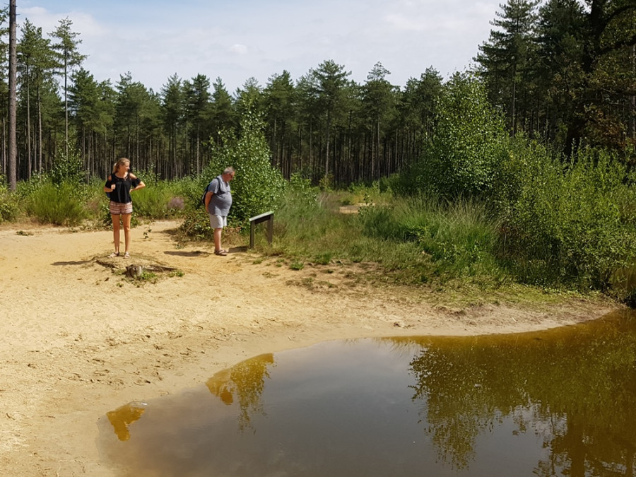 Natuur Kempen