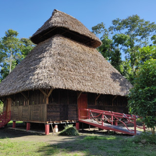 Afbeelding voor Yasuni Nationaal Park