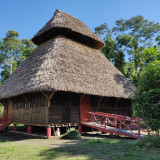 Afbeelding voor Yasuni Nationaal Park