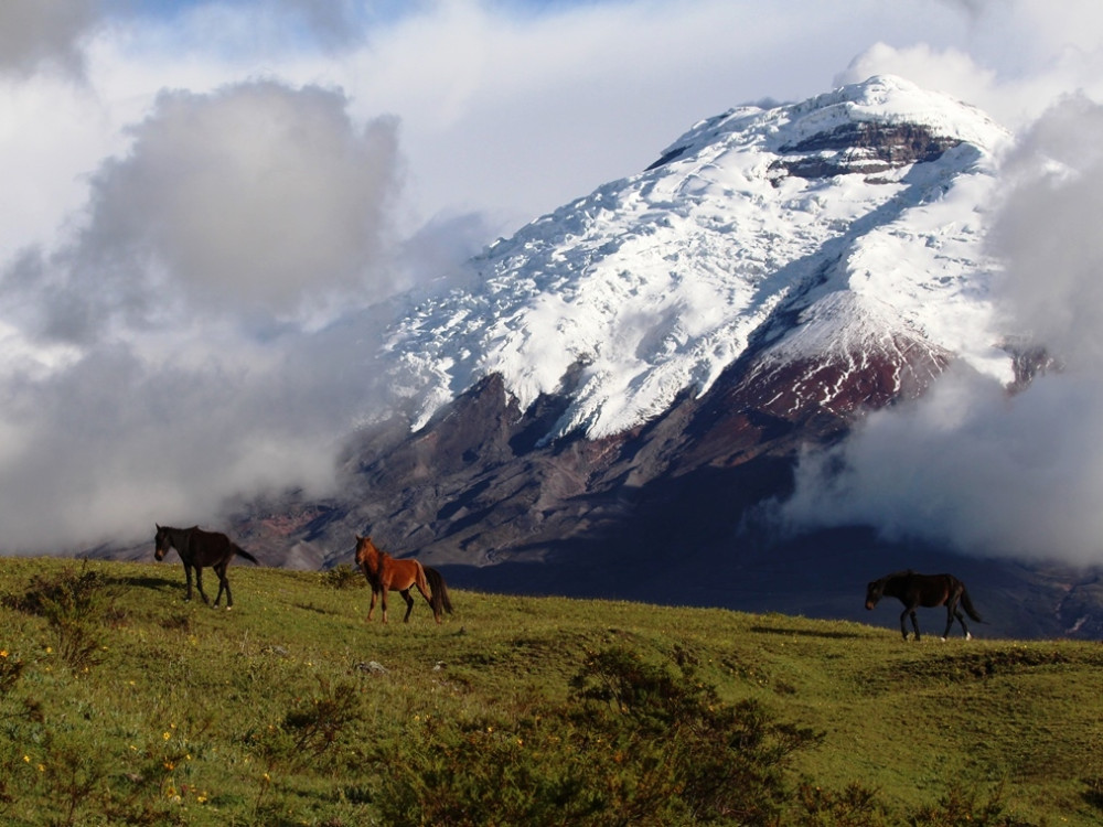 Cotopaxi vulkaan