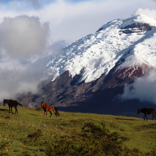 Afbeelding voor Cotopaxi Nationaal Park