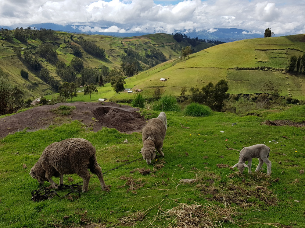 La Esperanza