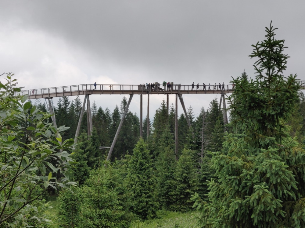 Canopy walkway