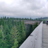 Afbeelding voor Bachledka Canopy Walkway