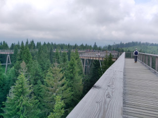 Afbeelding voor Bachledka Canopy Walkway