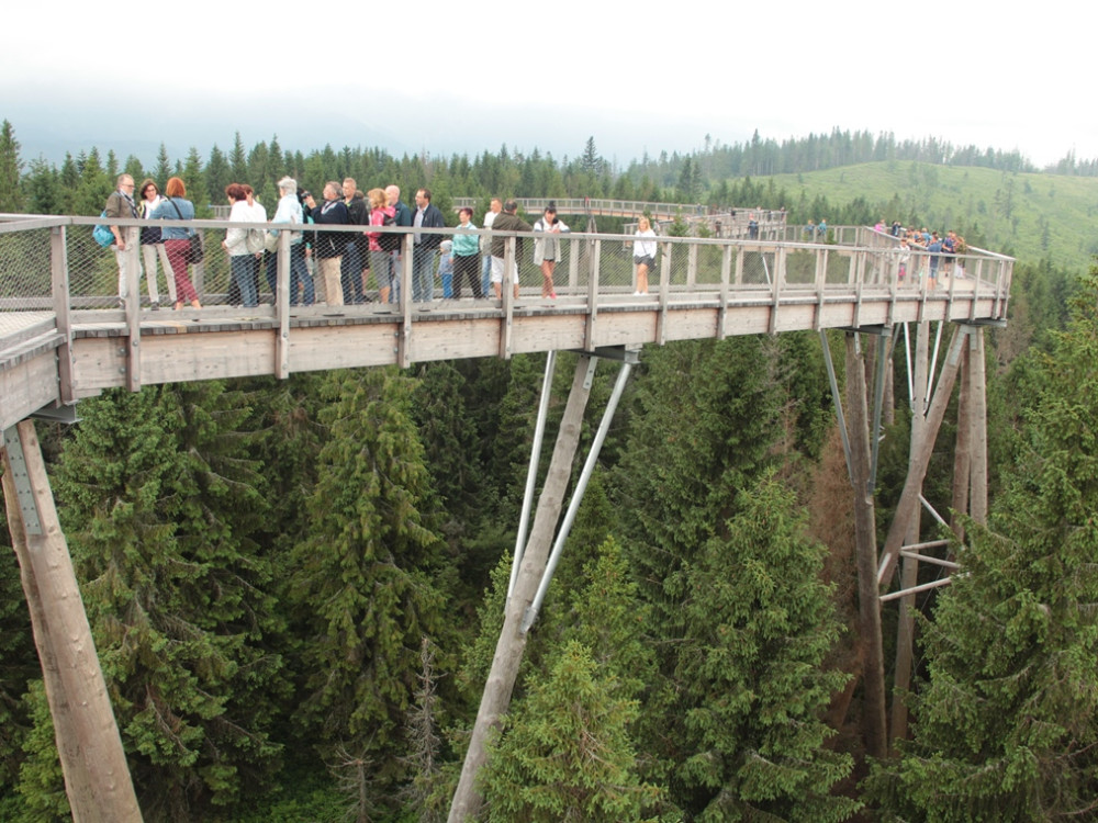 Canopy walkway