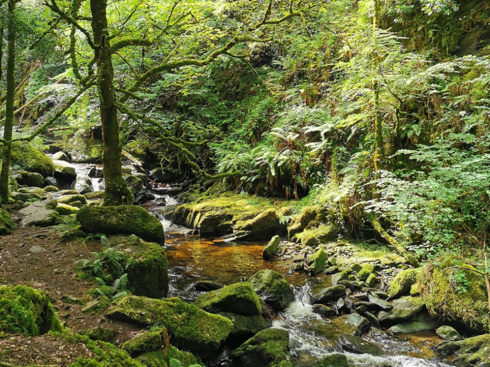 Killarney National Park