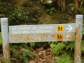 Kerry Way