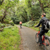 Afbeelding voor Fietsen in Ierland